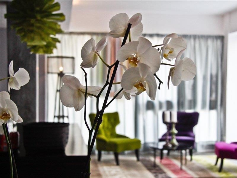 Hotel Feliz Palma de Mallorca Luaran gambar